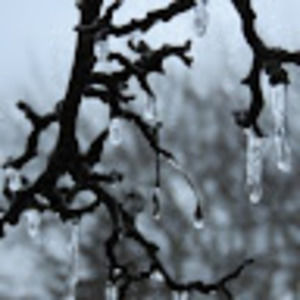 Meet your Posher, Renata